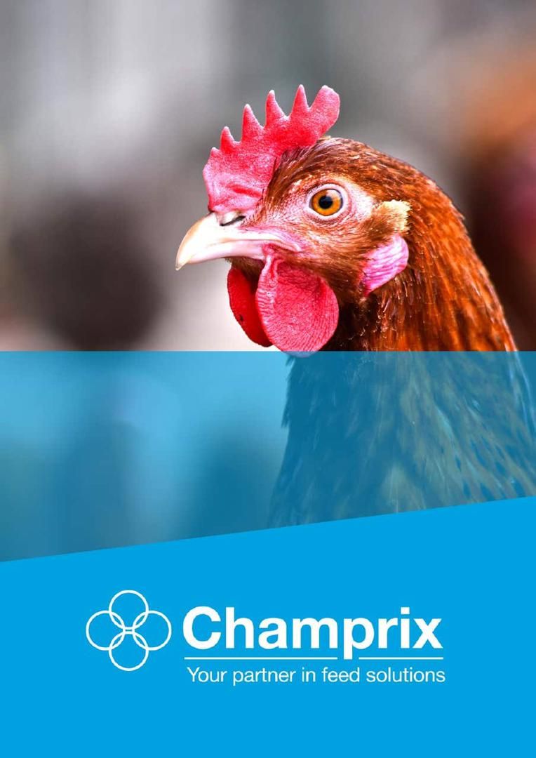 Odoo • Image et Texte